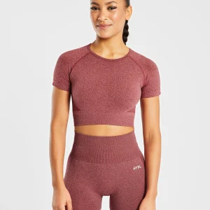 Empower Seamless Crop Top - Rouge Marl