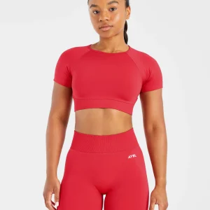 Adapt Seamless Crop Top - Salsa Rouge