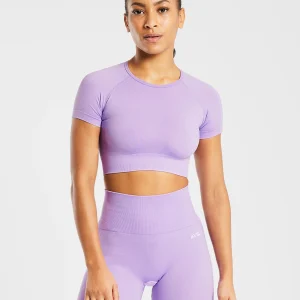 Empower Seamless Crop Top - Violet